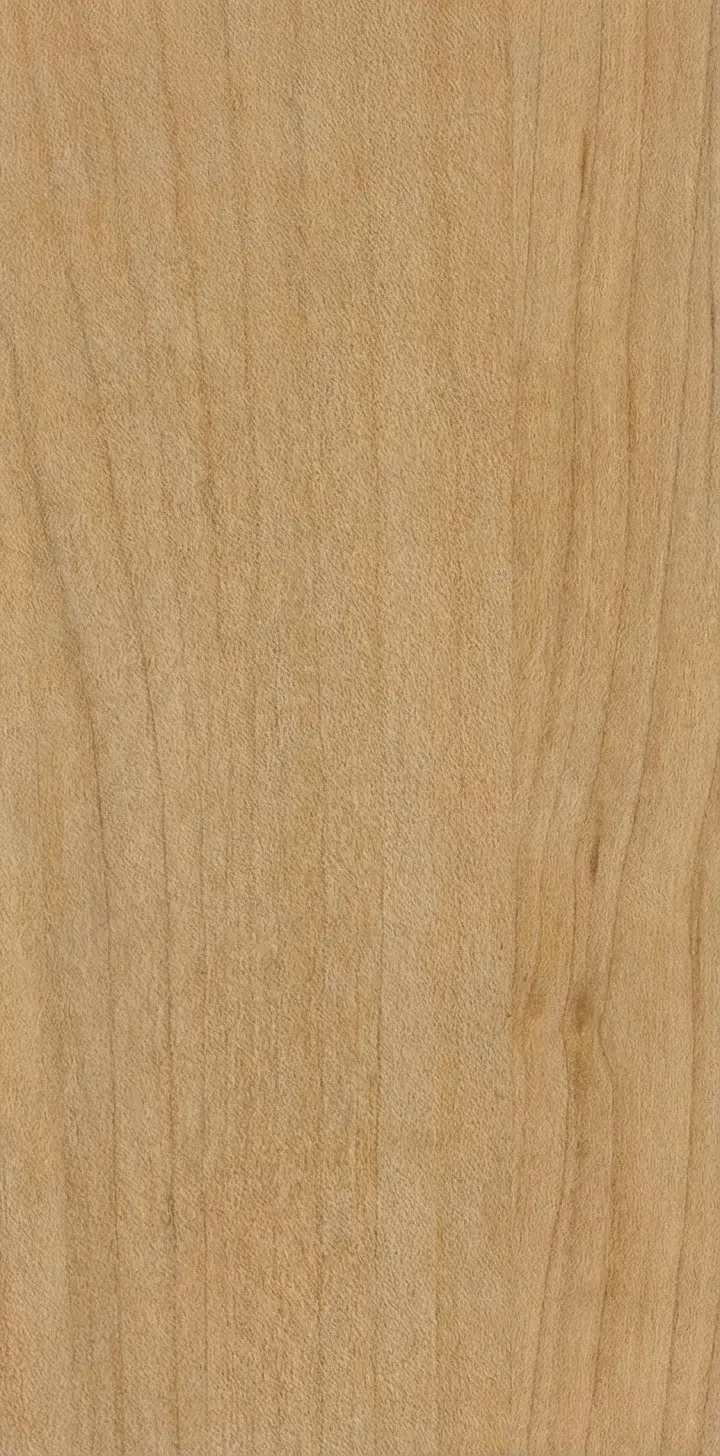 Bigleaf maple wood