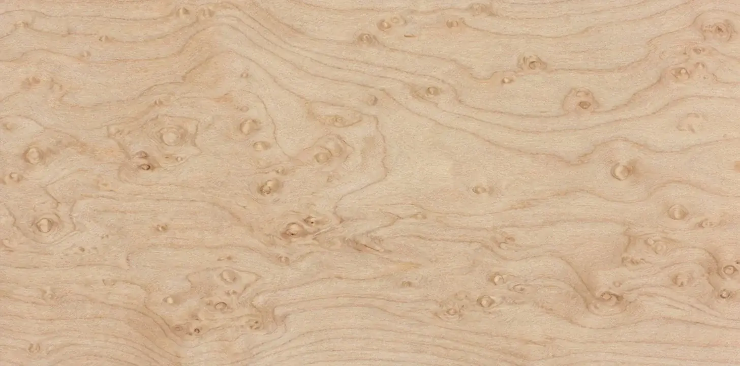Birdseye maple wood