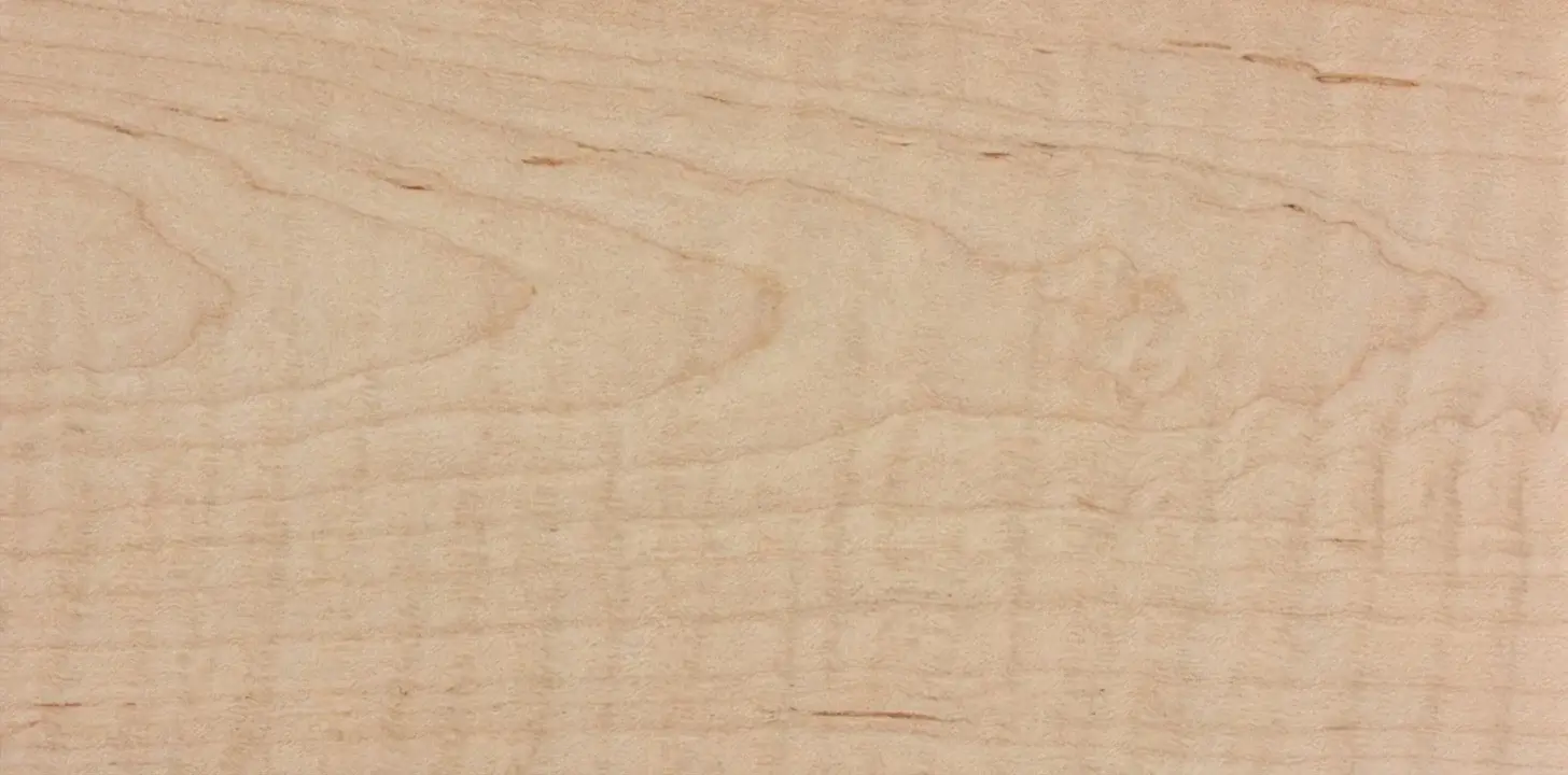 Curly maple wood