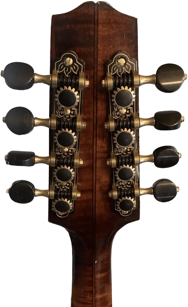 Rife mandolin headstock with tuning gears detail