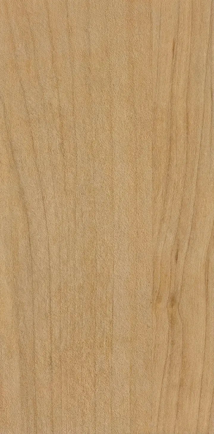 Bigleaf maple wood