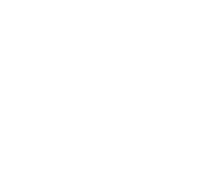 Rife Mandolins Logo
